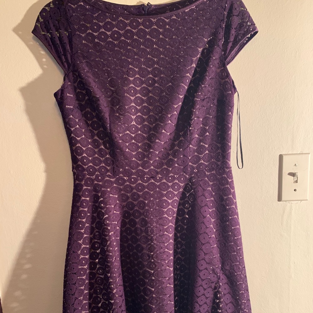 Lace Overlay Kasper Dress